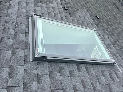 Velux Signature Skylight Specialist
