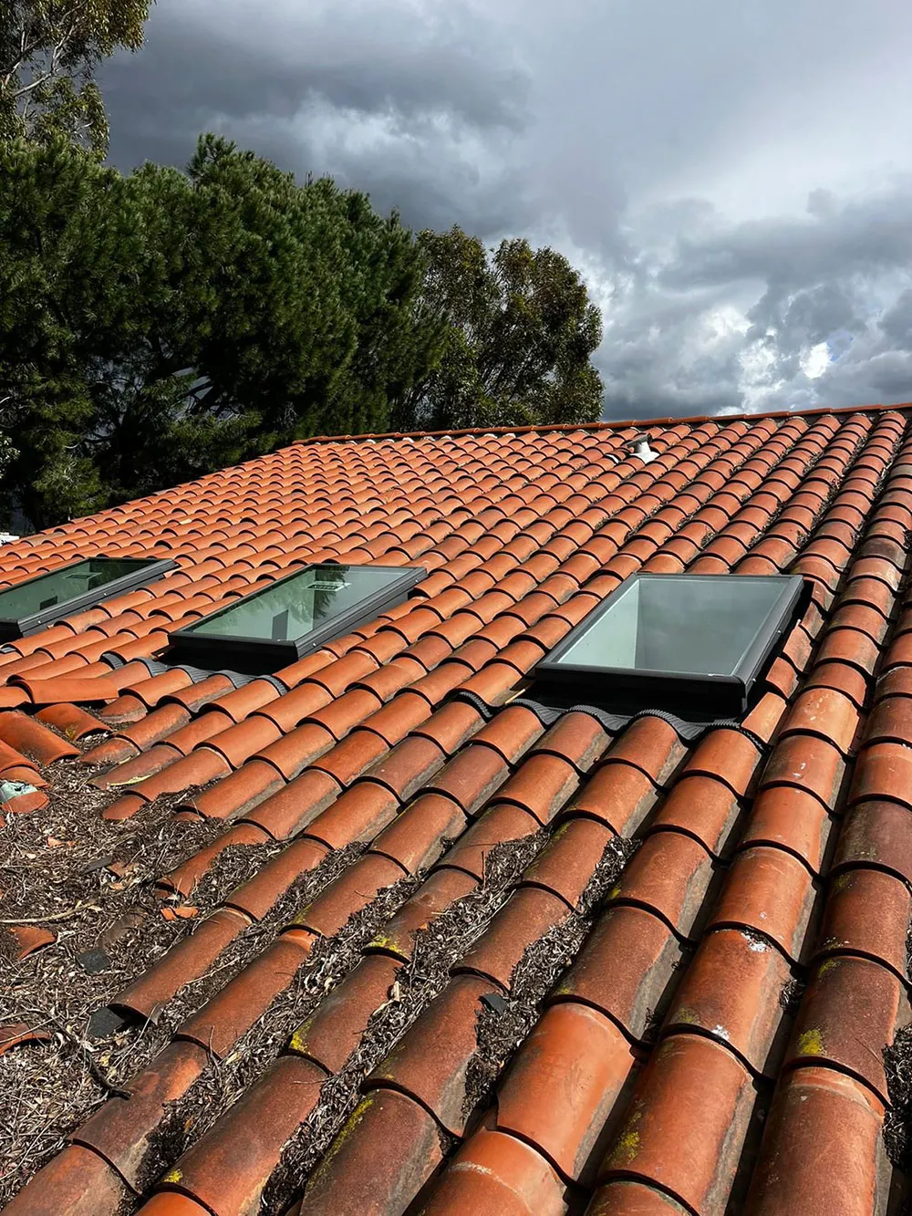 Loma Roja, Santa Ana